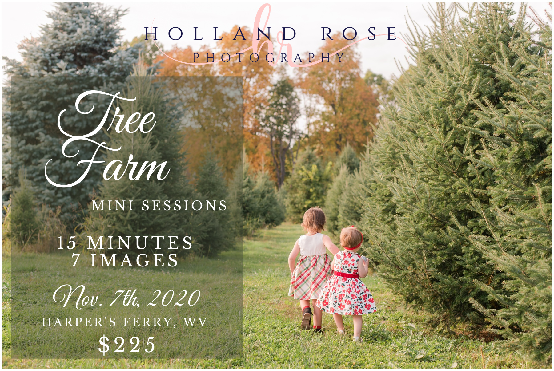 Tree Farm Mini Sessions